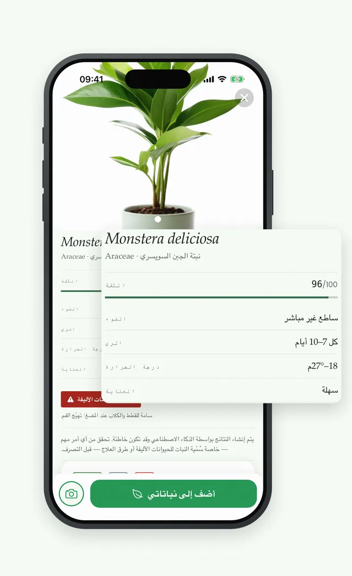نتيجة تعرّف Bloomprint على Monstera deliciosa بثقة 96/100 مع ملف العناية