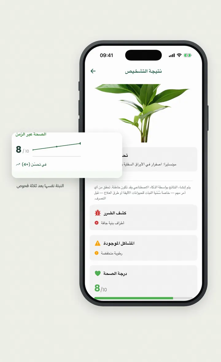 شاشة تشخيص Bloomprint مع درجة الصحة والأضرار المكتشفة ومنحنى التعافي