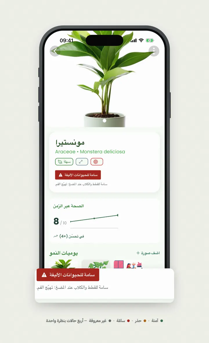تفاصيل النبتة في Bloomprint مع بطاقة السُمّية على الحيوانات الأليفة