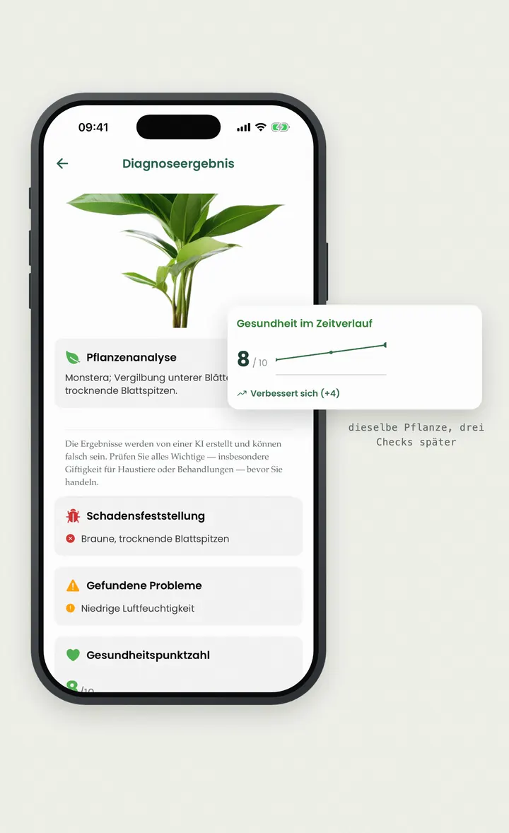 Bloomprint-Diagnose mit Gesundheitswert, erkannten Schäden und Erholungskurve