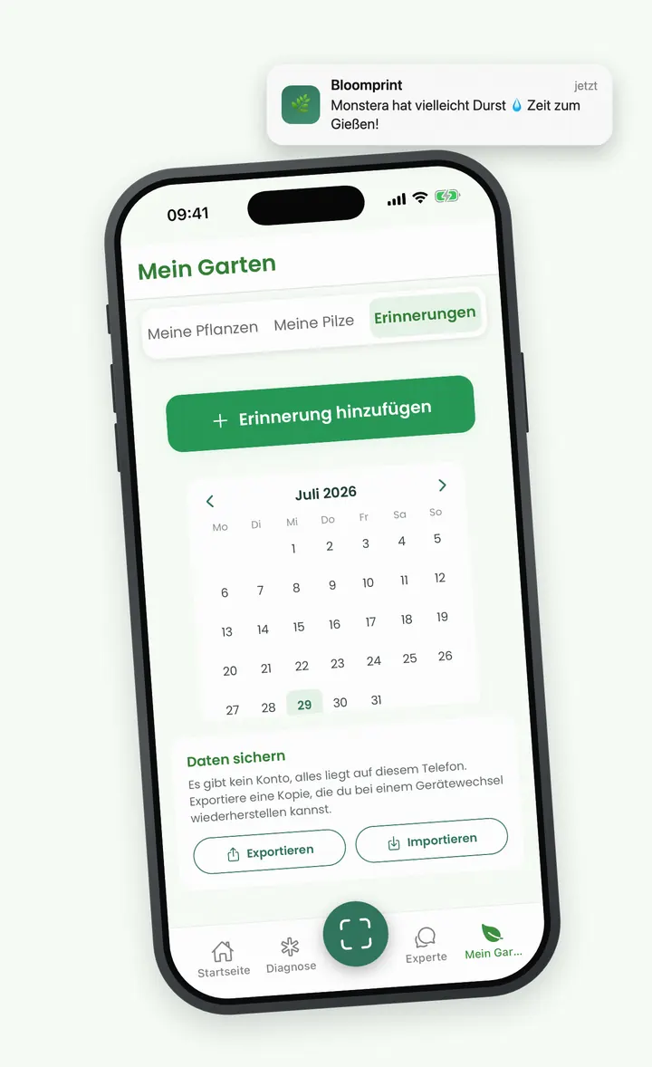 Bloomprint-Pflegekalender mit Gieß-Benachrichtigung auf dem Sperrbildschirm