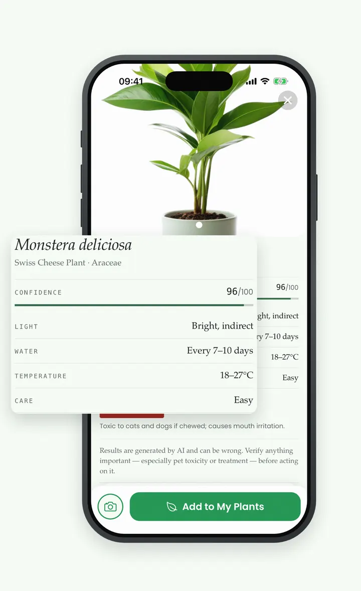 Bloomprint identification result showing Monstera deliciosa with a 96/100 confidence score and its care profile