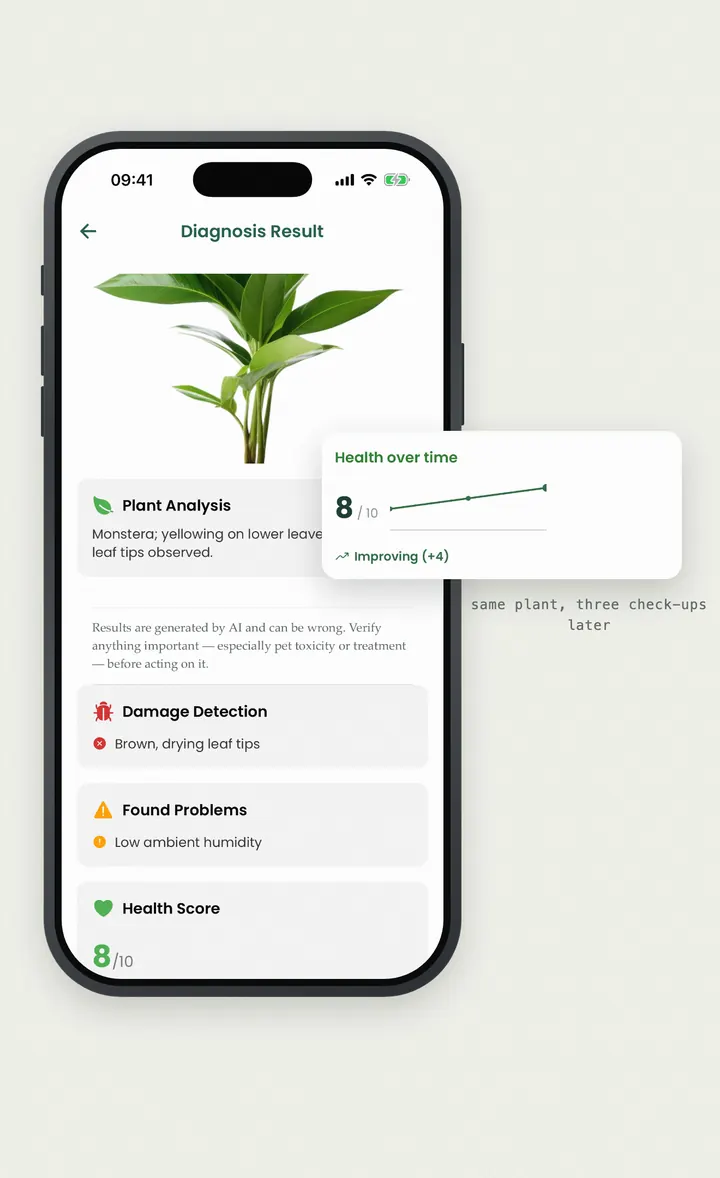 Bloomprint diagnosis screen with a health score, detected damage and a recovery curve