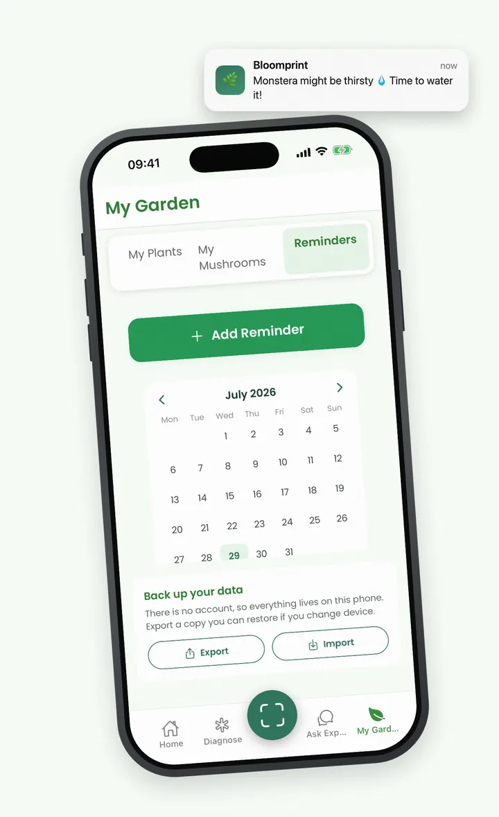 Bloomprint care calendar with a watering notification on the lock screen