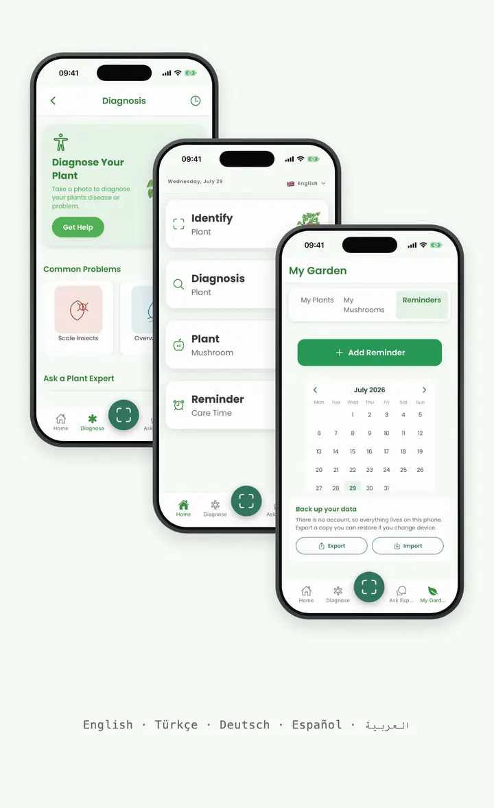 Bloomprint screens showing that the app works without an account