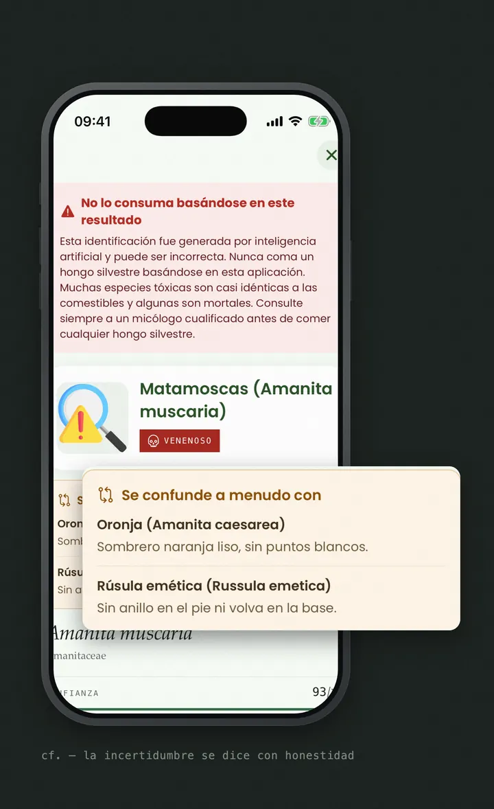 Resultado de seta en Bloomprint para Amanita muscaria con etiqueta venenosa y especies confundibles