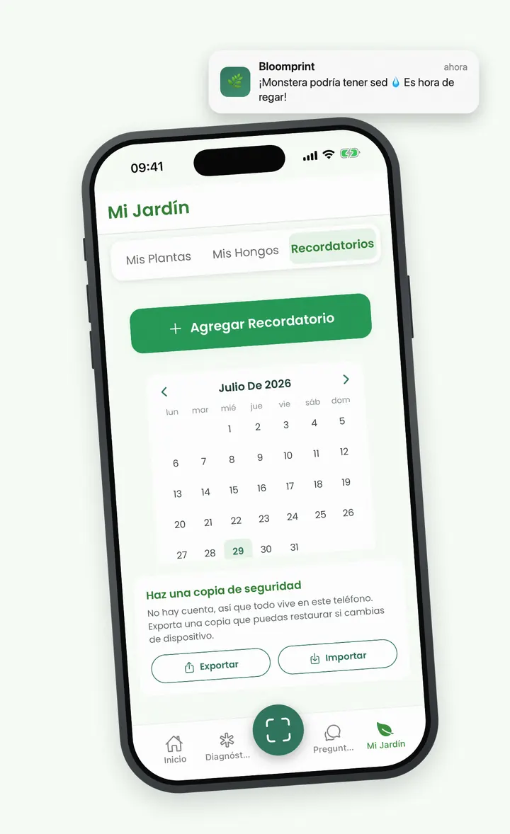 Calendario de cuidados de Bloomprint con una notificación de riego en la pantalla de bloqueo