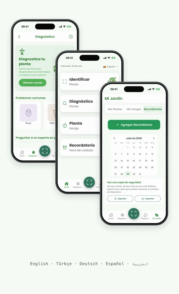 Pantallas de Bloomprint que muestran que la app funciona sin cuenta