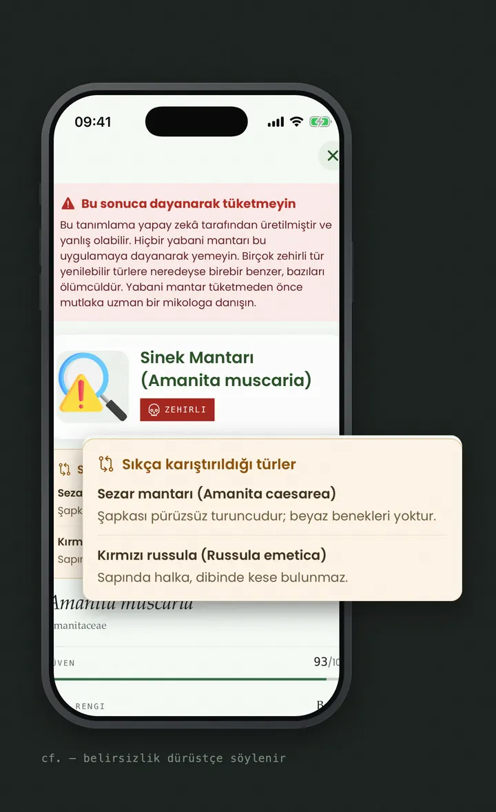 Bloomprint mantar sonucu: Amanita muscaria, zehirli etiketi ve karıştırılan türler