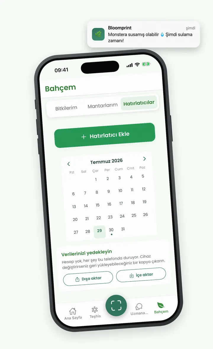 Bloomprint bakım takvimi ve kilit ekranındaki sulama bildirimi